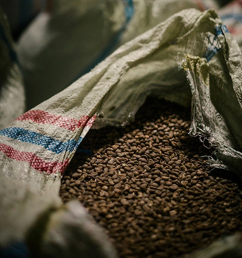 Export of Coffee and Sesame seed